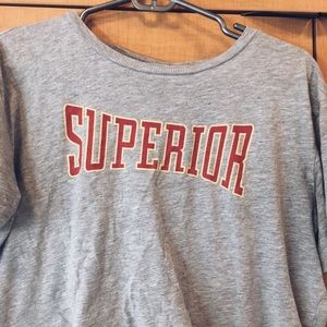 Superior gray graphic cropped tshirt
